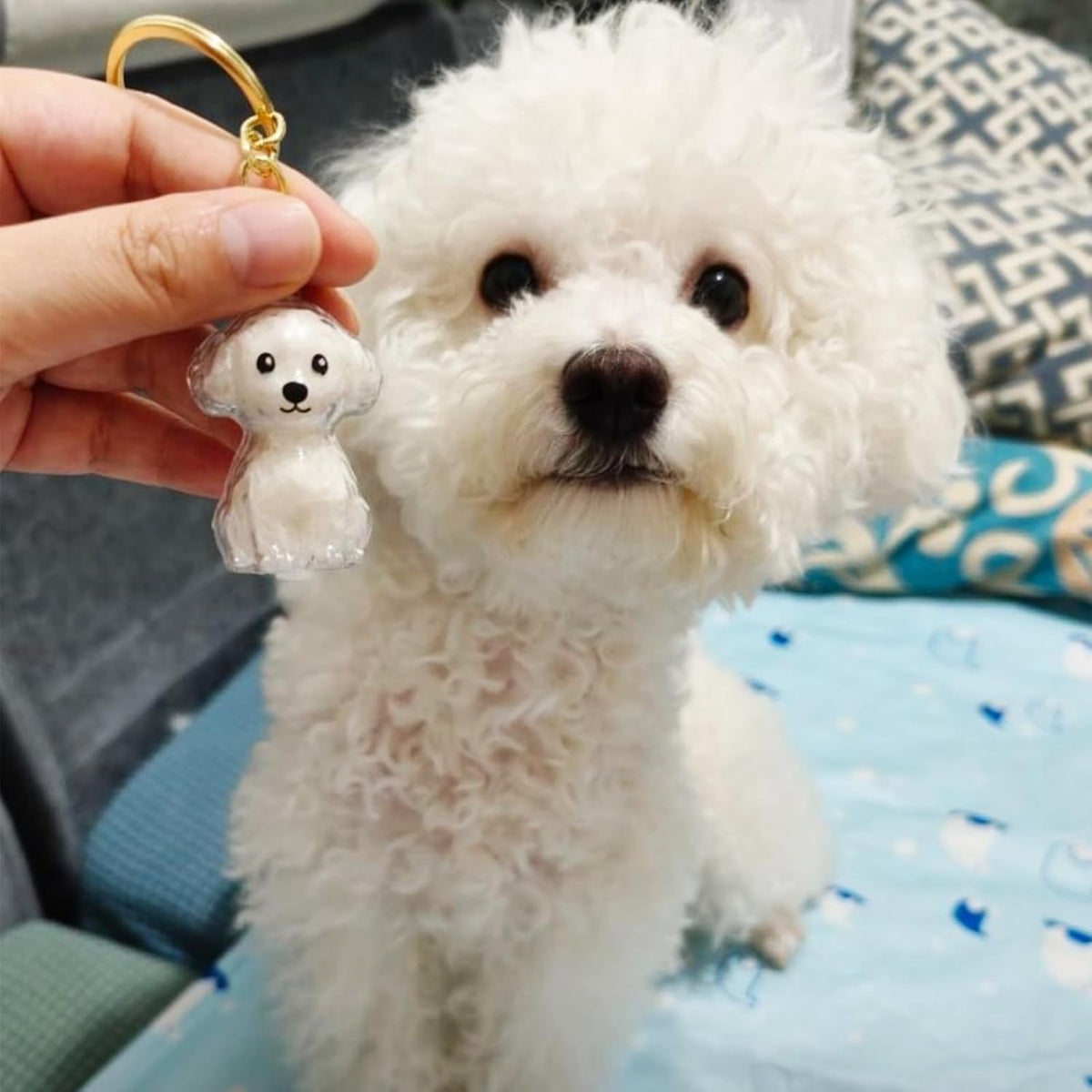 Pet Hair Keepsake Capsule Save Your Dog’s Fur Memories Forever