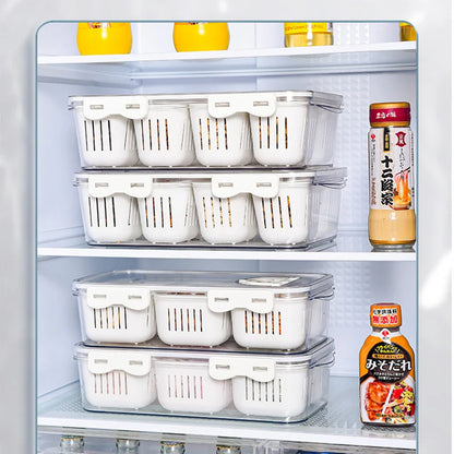 Fresh Portable Snack & Veggie Storage Box
